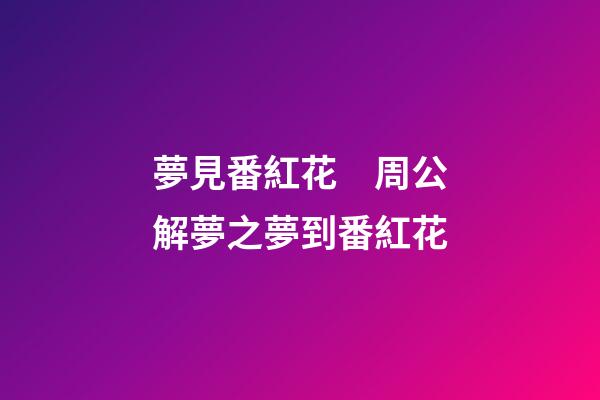 夢見番紅花　周公解夢之夢到番紅花
